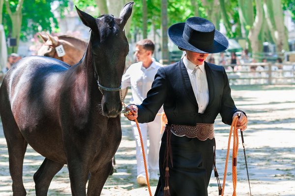 Gite Equestre